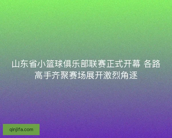 山东省小篮球俱乐部联赛正式开幕 各路高手齐聚赛场展开激烈角逐